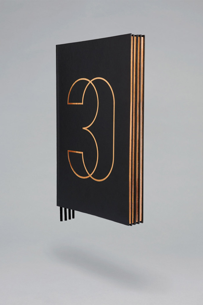 30 Park Place book by Mother Design